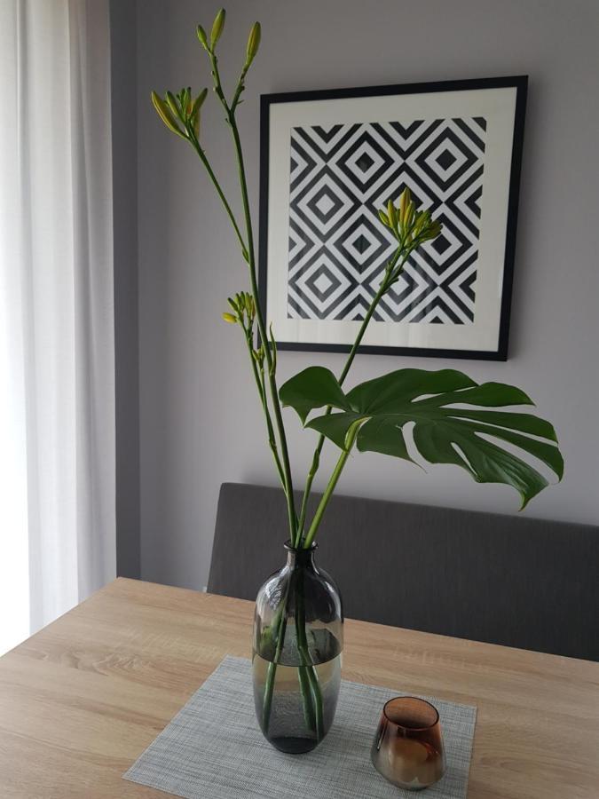 Villa Lipova Stegna Pokoje I Apartamenty Dedykowane Osobom Doroslym 外观 照片