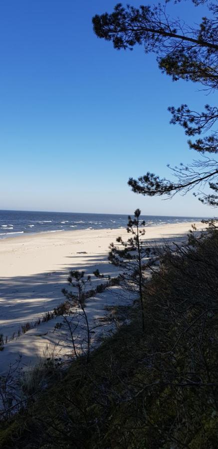 Villa Lipova Stegna Pokoje I Apartamenty Dedykowane Osobom Doroslym 外观 照片